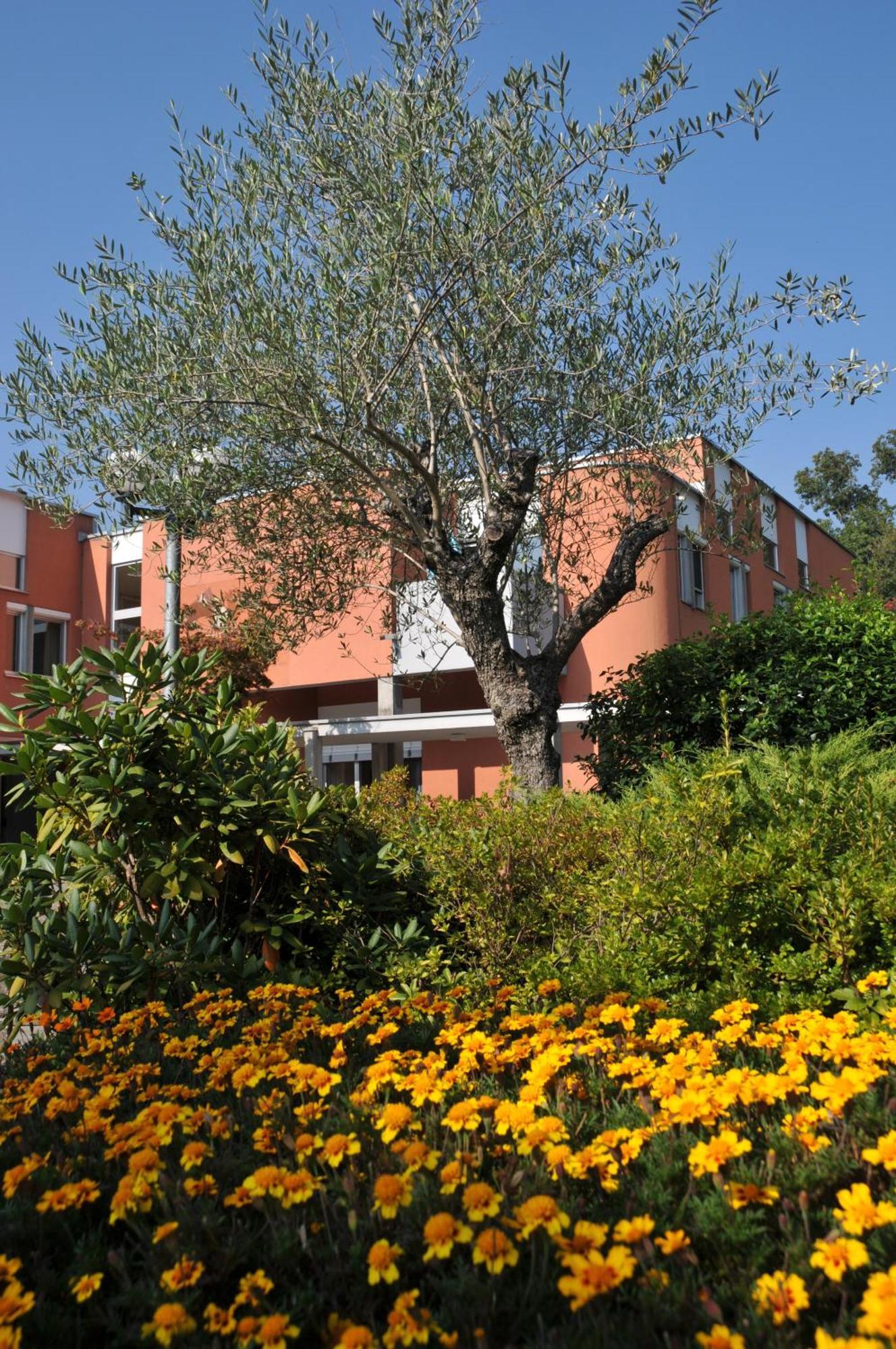 Centro Magliaso Hotel Екстериор снимка